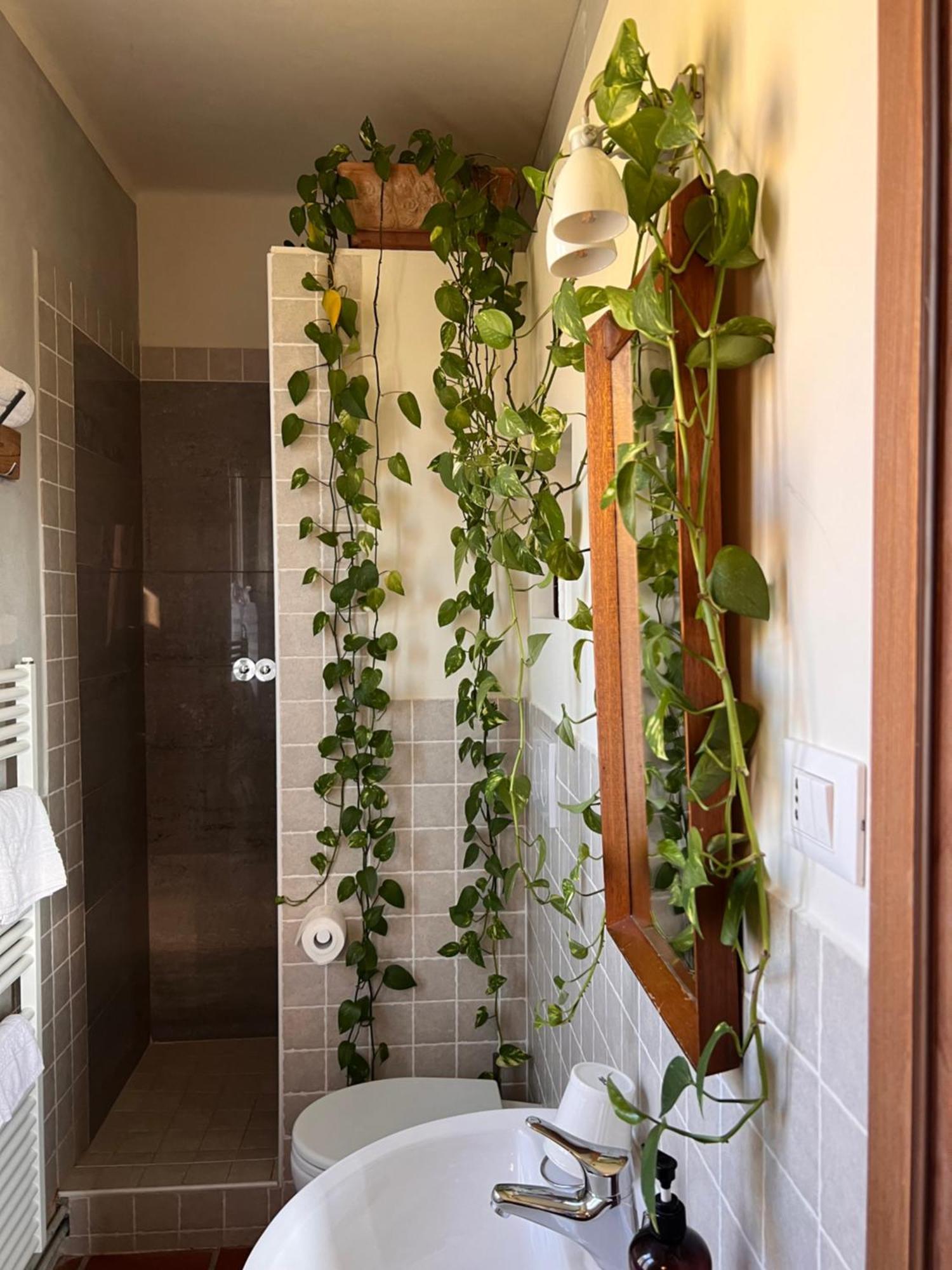Relais B&B Betty Bike Sasso Feltrio Exterior foto